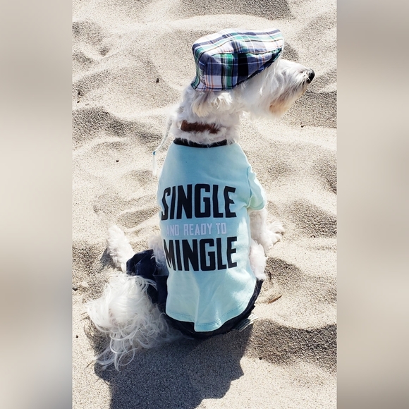 Meet your Posher, Clarity & Frosty Little Divo🐾💙 - Picture 8 of 16